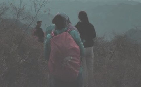 关于登山的作文600字3篇