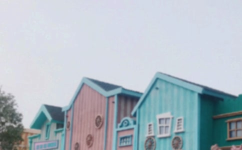 《快乐迪士尼》的观后感200字