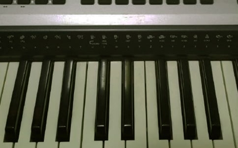 心爱的电子琴作文