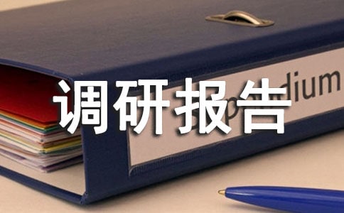 农村调研报告例文