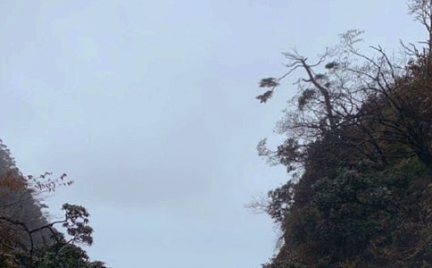 峨眉山月歌翻译及赏析