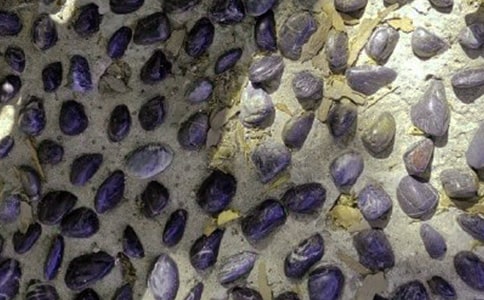 鹅卵石的`创意手工制作步骤图解