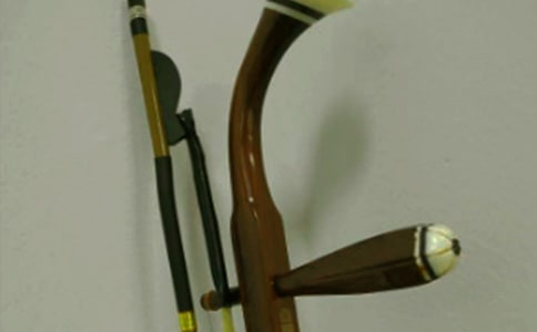 我爱拉二胡作文