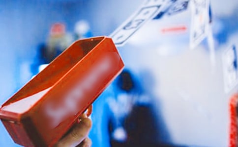 关于写发财树的作文6篇