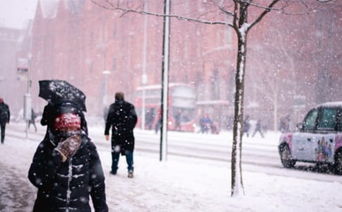 【推荐】暴风雪应急预案