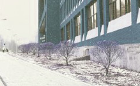 暴风雪应急预案