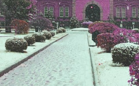 ±©·çÑ©µÄÓ¦¼±Ô¤°¸