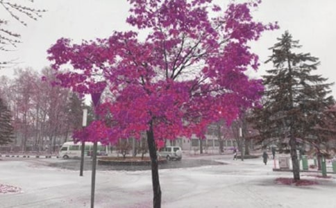 2023±©·çѩӦ¼±Ô¤°¸£¨Í¨ÓÃ18ƪ£©