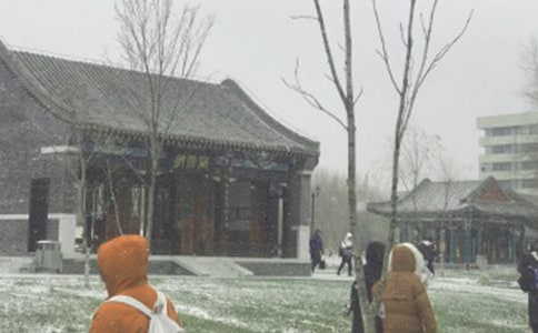 ±©·çѩӦ¼±Ô¤°¸¡¾¾«¡¿