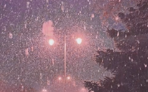 秦岭风雪夜归人作文