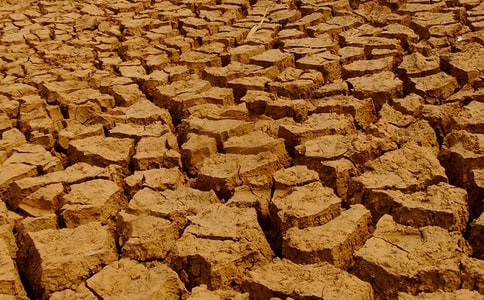 关于干旱作文3篇