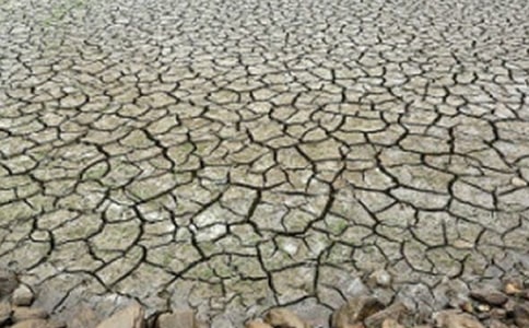 干旱灾害的应急预案(精选5篇)