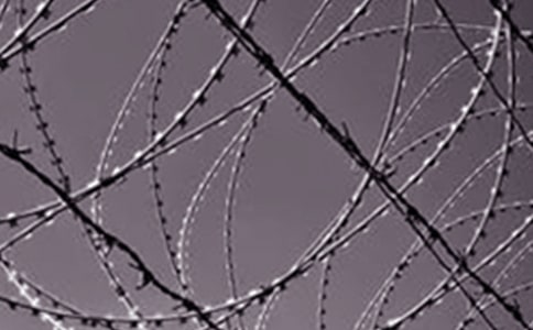 读《钢铁是怎样练成的》有感初中作文