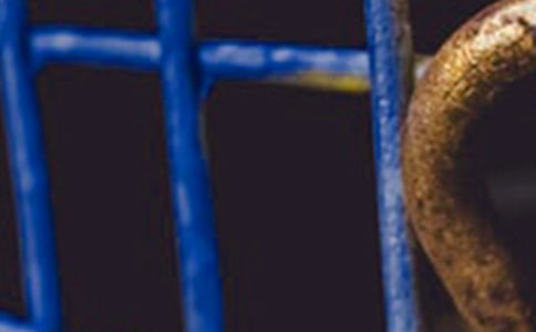 《钢铁是怎样练成的》读后感作文