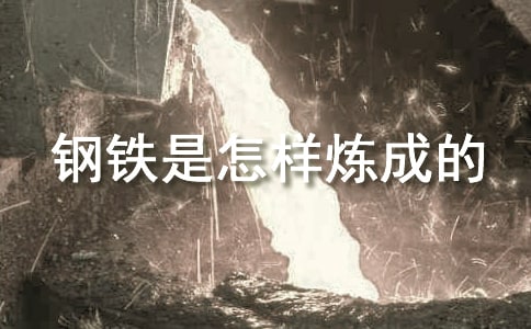 读《钢铁是怎样炼成的》的有感小学作文(通用15篇)