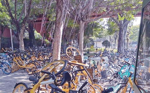 共享单车作文300字五篇