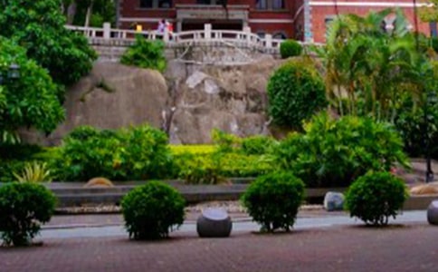 鼓浪屿之游五年级作文