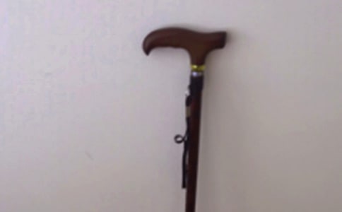 拐杖高中优秀作文