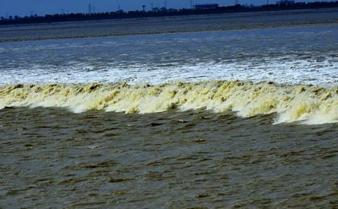 关于钱塘江观潮的导游词(精选10篇)