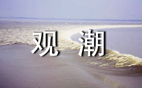 观潮的300字作文