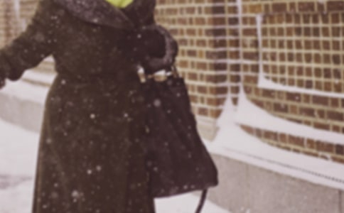 景区应对寒潮天气应急预案