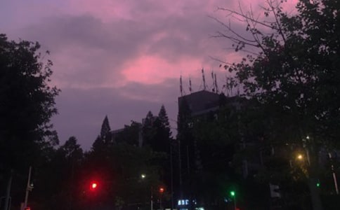 【热门】寻找黑夜里的绚烂作文