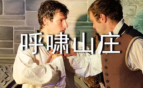 呼啸山庄读后感600字