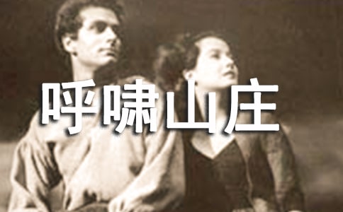 《呼啸山庄》读后感作文6篇