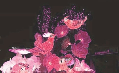 关于看花灯的作文