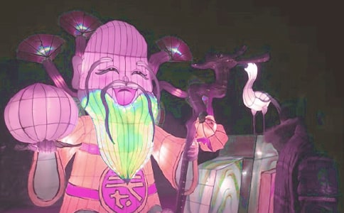 看花灯优秀作文650字