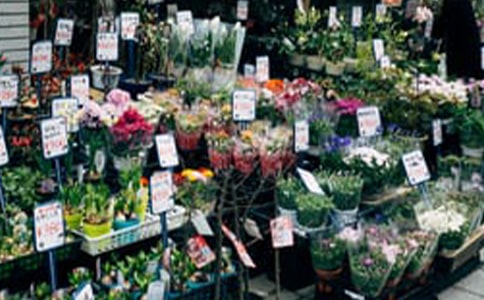 花店520活动策划方案(精选9篇)