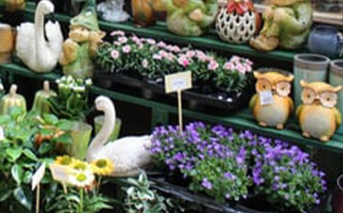 花店创业计划书15篇