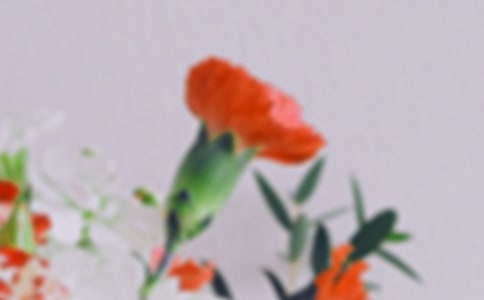 描写花朵的作文5篇