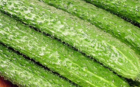 我学会了切黄瓜作文