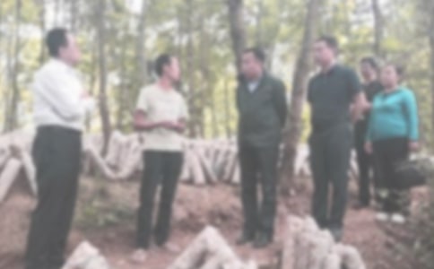 个人年度纪检工作总结