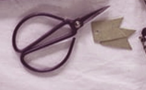 石头·剪刀·布小学作文