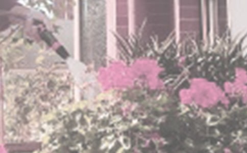 写浇花作文(精选26篇)