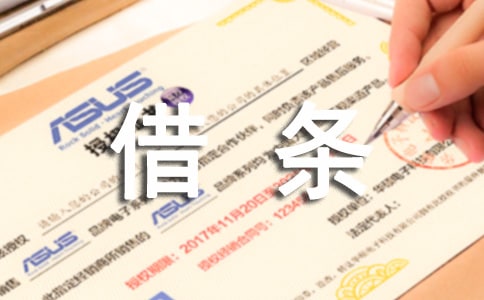 物品借条模板4篇