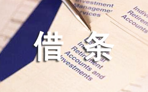 个人借条模板5篇