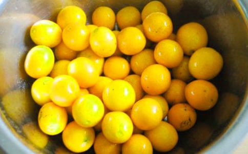 一棵金桔树作文