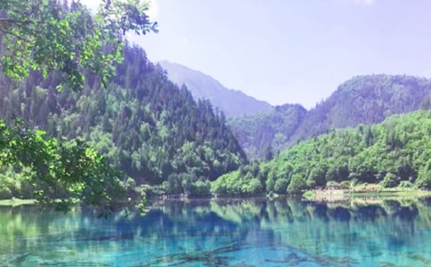 (精品)九寨沟导游词