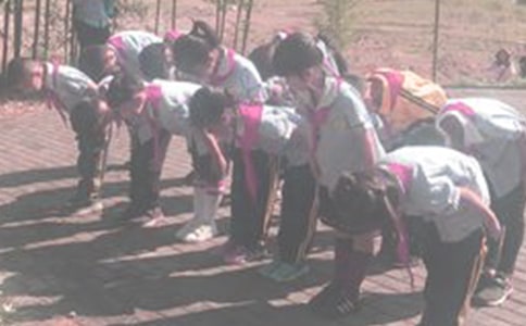 向生命鞠躬作文