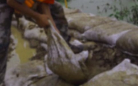 抗洪防汛应急预案(精选6篇)