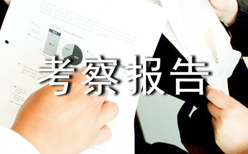 港城新农村建设考察报告的新产业篇