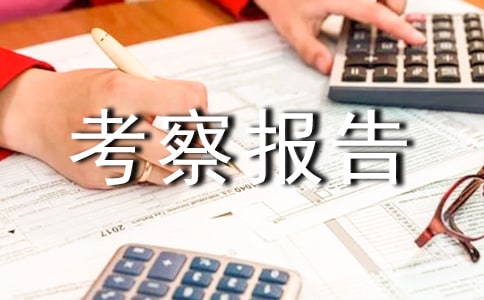 供应商的考察报告