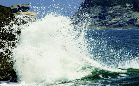 心海中的一朵浪花的九年级作文