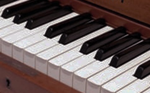 一件神奇的乐器作文【推荐】