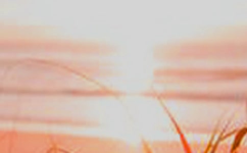 黎明的美丽,失落的我作文