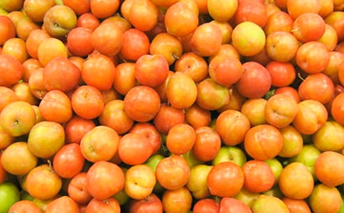 黑李子的功效与作用及禁忌介绍