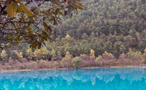 描写丽江古城的作文